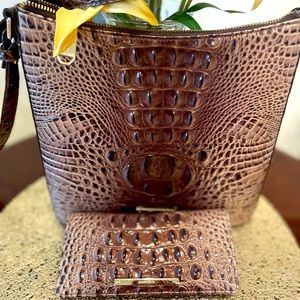 Brahmin Crossbody Set